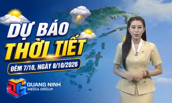 Dự báo thời tiết đêm 7, ngày 8/10/2026