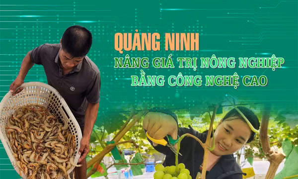 Quảng Ninh nâng giá trị nông nghiệp bằng công nghệ cao