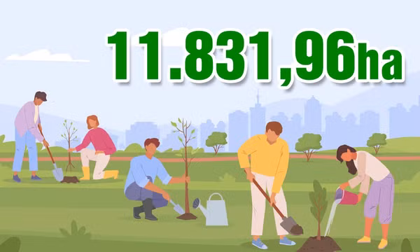 11.831,96 ha - là diện tích rừng trồng mới tập trung toàn thành phố trong 8 tháng năm 2026