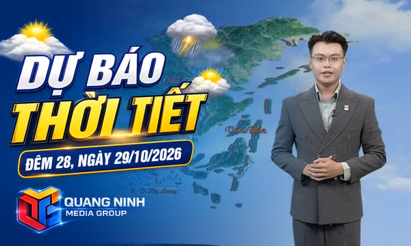 Dự báo thời tiết đêm 28, ngày 29/10/2026
