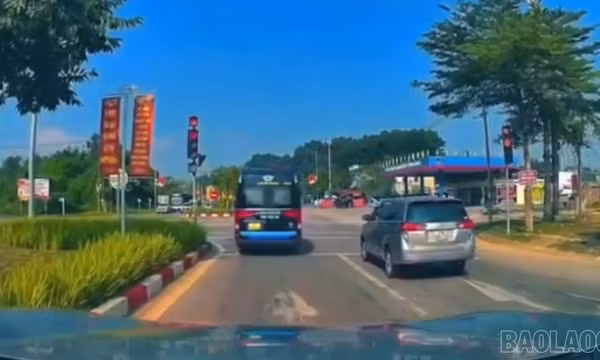 Lào Cai: Xử phạt 19 triệu đồng lái xe khách vượt đèn đỏ qua phản ánh của người dân