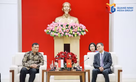 Chủ tịch UBND thành phố Quảng Ninh tiếp xã giao Đoàn đại biểu Indonesia, tháng 10-2026