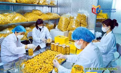 Tạo giá trị gia tăng từ rừng bằng khoa học, công nghệ