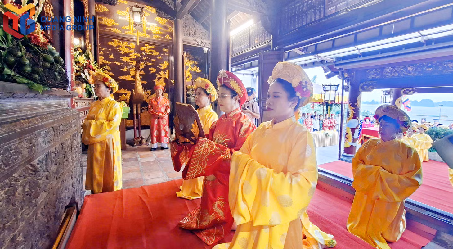 bqn_tl_699.jpg