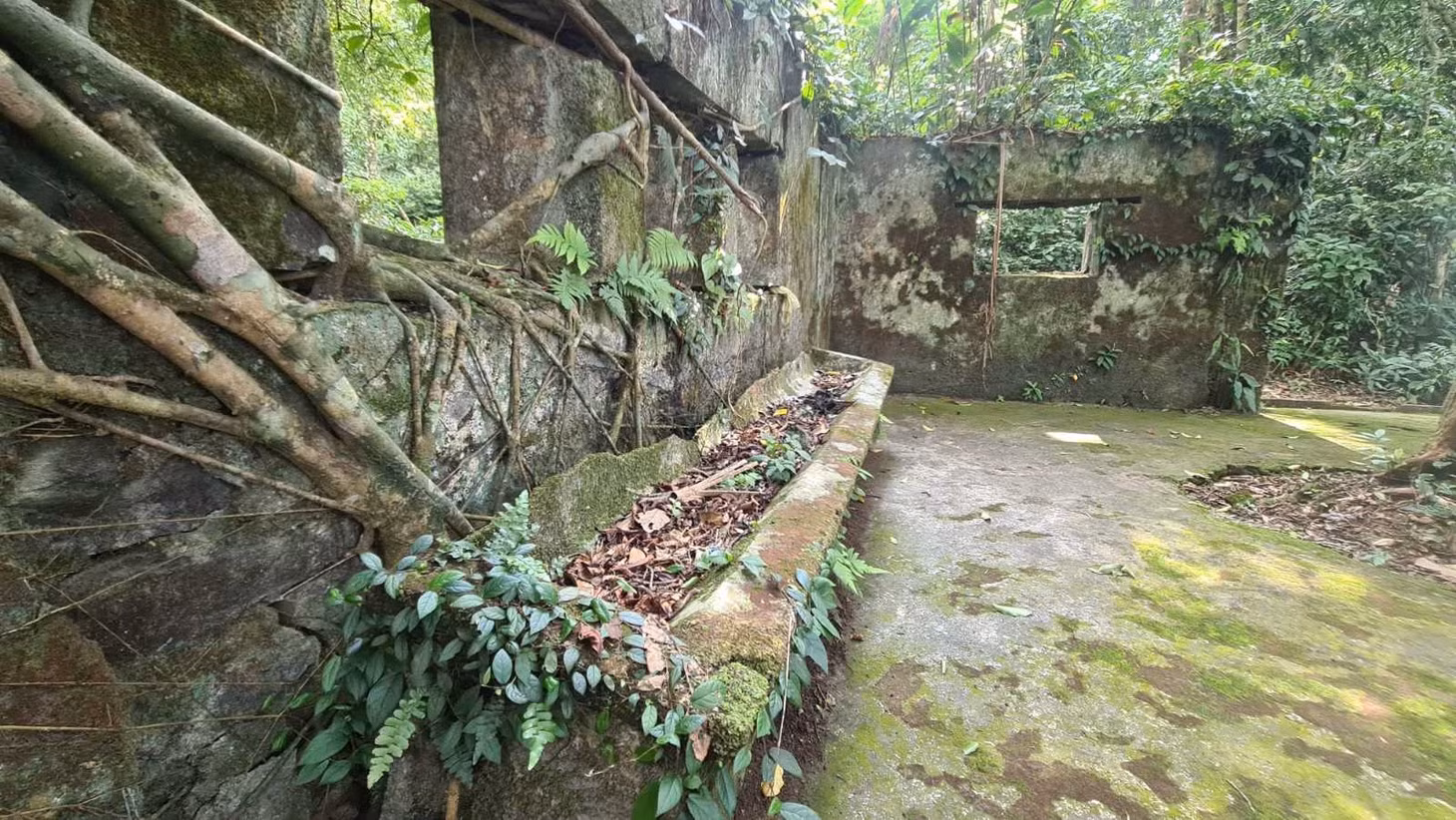 Qua thời gian, những cây cổ thụ đã phủ kín tường trại hè kiến trúc Pháp còn sót lại. Chị Lăng Thị Tuyết, người dân tộc Dao ở xã Ba Vì, huyện Ba Vì khai thác hoạt động du lịch tại đây cho biết, khách đến Vườn quốc gia Ba Vì rất thích trải nghiệm cắm trại ở trên nền móng trại hè Pháp, bởi nét cổ rêu phong của khu này.