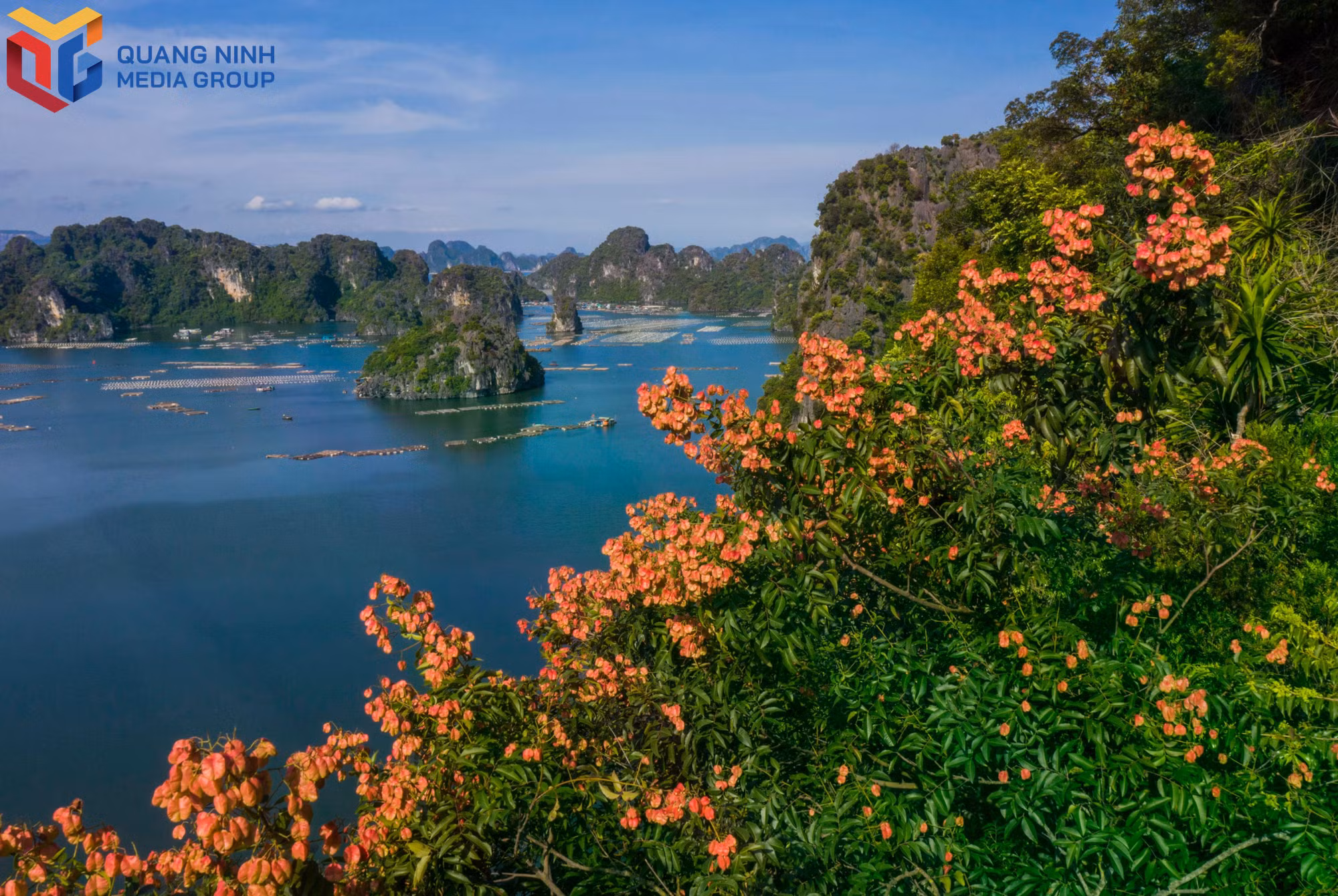 bqn_tl_anh-4-4096x2744.jpg