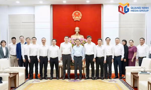 Thúc đẩy hợp tác phát triển khoa học công nghệ, trí tuệ nhân tạo giữa Quảng Ninh và Quảng Tây