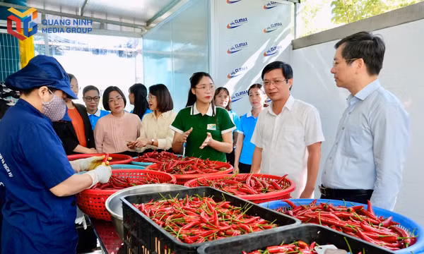 Lãnh đạo Thành phố, phường An Sinh tham quan mô hình phụ nữ khởi nghiệp của hội viên phụ nữ phường An Sinh.