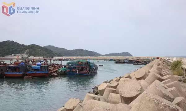 Tạm ngừng cấp phép tàu hoạt động trên vùng biển Quảng Ninh