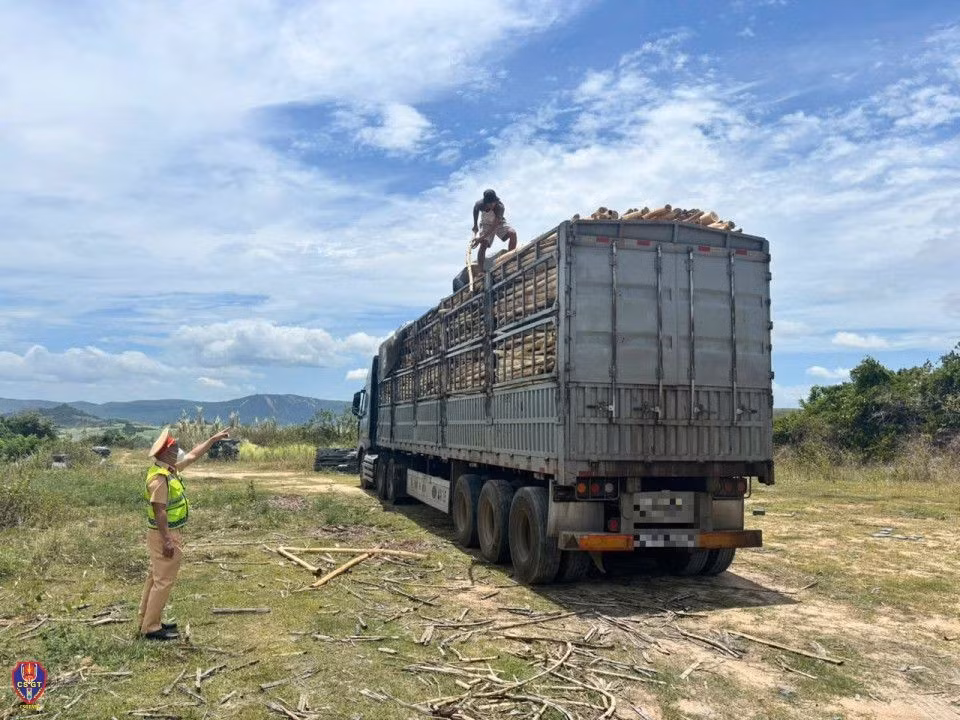 Trong quá trình tuần tra, kiểm soát, lực lượng Cảnh sát giao thông Công an tỉnh Đắk Lắk phát hiện xe ô tô đầu kéo kéo sơ mi rơ moóc chở hàng vượt quá chiều cao cho phép. Lực lượng chức năng đã lập biên bản, xử lý cả người điều khiển và chủ phương tiện theo quy định.