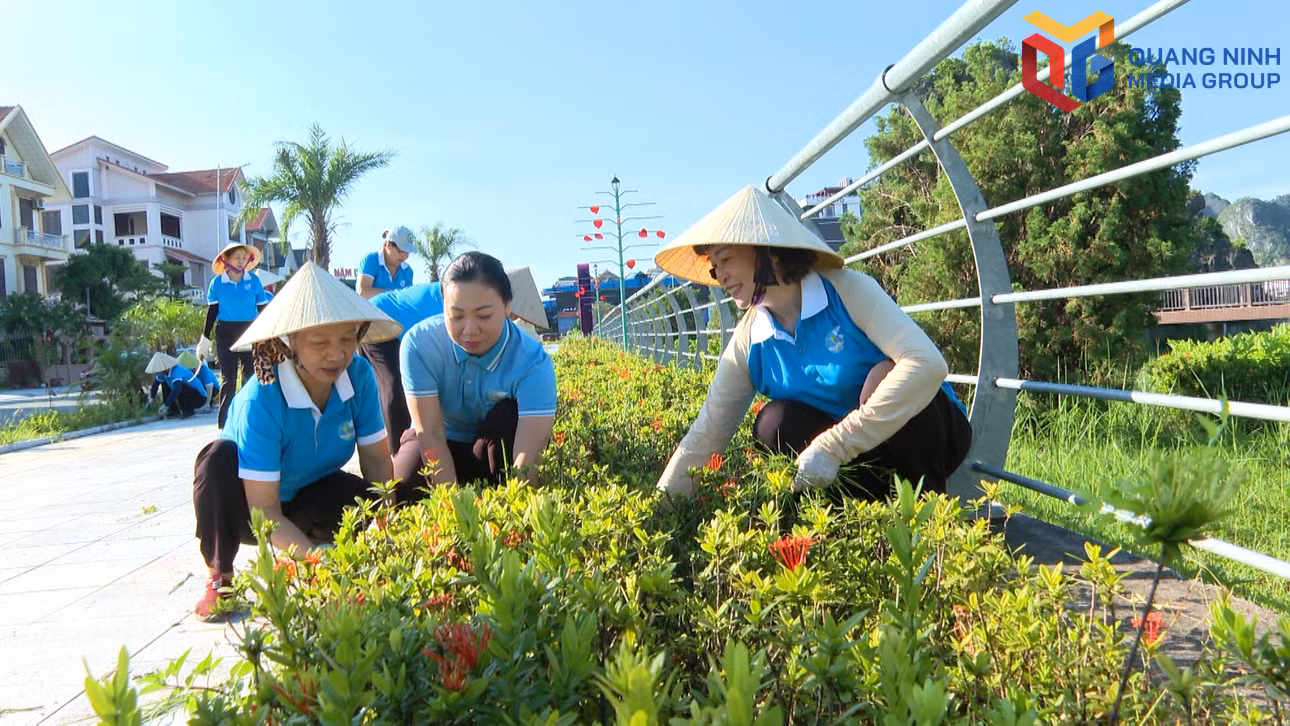 bqn_tr_ps-giu-lua-cho-phong-trao-co-so-hoai-minhmxf-snapshot-0625574.jpg