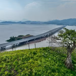 Muôn nẻo đường xuân