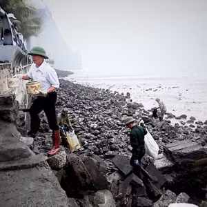 Việc làm nhỏ - ý nghĩa lớn