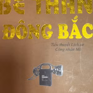 BỂ THAN ĐÔNG BẮC 05