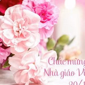 Ơn thầy cô 