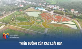 Thiên đường của các loài hoa