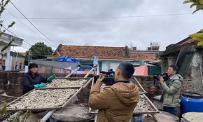 Trải nghiệm Tết ở vùng biển đảo Quảng Ninh