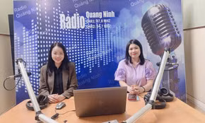 Khi người nổi tiếng quảng cáo sai sự thật sản phẩm