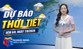 Dự báo thời tiết đêm 6/8, ngày 7/8/2026