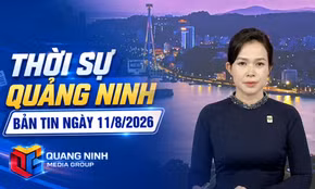 Bản tin thời sự 19h45' ngày 11/8/2026