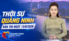 Bản tin thời sự 19h45' ngày 15/8/2026