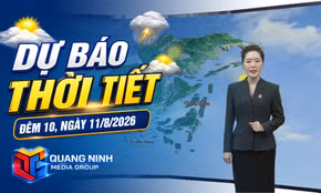 Dự báo thời tiết đêm 10, ngày 11/8/2026