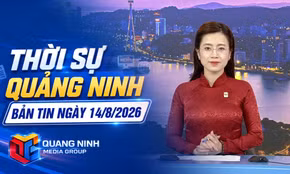 Bản tin thời sự 19h45' ngày 14/8/2026