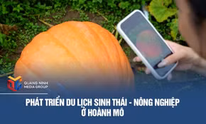 Phát triển du lịch sinh thái - nông nghiệp ở Hoành Mô