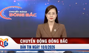 Chuyển động Đông Bắc ngày 10/8/2026