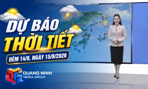 Dự báo thời tiết đêm 14, ngày 15/8/2026