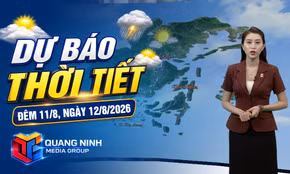 Dự báo thời tiết đêm 11, ngày 12/8/2026