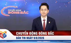 Chuyển động Đông Bắc ngày 9/8/2026