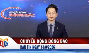 Chuyển động Đông Bắc ngày 14/8/2026