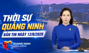 Bản tin thời sự 19h45' ngày 12/8/2026