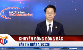 Chuyển động Đông Bắc ngày 1/8/2026