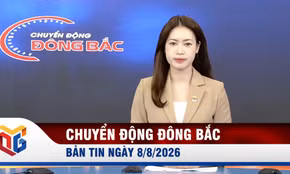 Chuyển động Đông Bắc ngày 8/8/2026