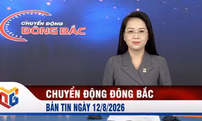Chuyển động Đông Bắc ngày 12/8/2026