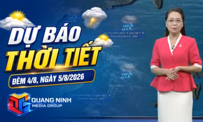 Dự báo thời tiết đêm 4, ngày 5/8/2026
