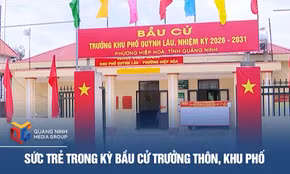 Sức trẻ trong kỳ bầu cử trưởng thôn, khu phố