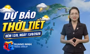 Dự báo thời tiết đêm 12, ngày 13/8/2026