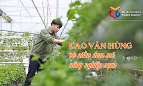Cao Văn Hùng và niềm đam mê nông nghiệp sạch