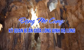 Động Mê Cung: Kỳ quan bí ẩn giữa lòng Vịnh Hạ Long
