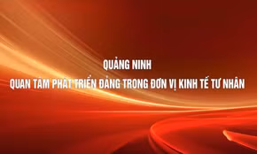 Quảng Ninh quan tâm phát triển Đảng trong đơn vị kinh tế tư nhân
