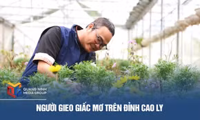 Người gieo giấc mơ trên đỉnh Cao Ly