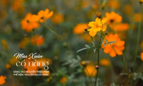 Mùa xuân có nàng
