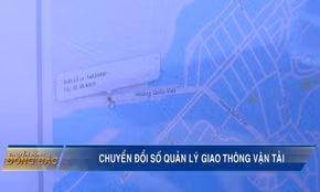 Chuyển đổi số trong quản lý giao thông vận tải
