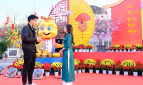 "Tết ấm tình thân" - xem để cảm nhận Tết sum vầy