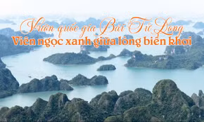 Vườn quốc gia Bái Tử Long: Viên ngọc xanh giữa lòng biển khơi
