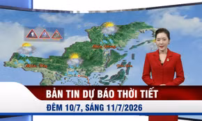 Bản tin dự báo thời tiết đêm 10/7, ngày 11/7/2026