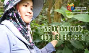 Người đánh thức dược liệu Bình Khê